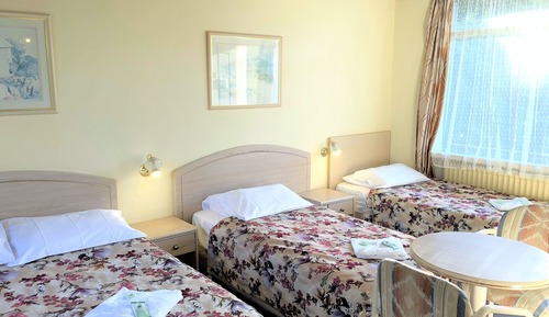 Comfort Double Room, Garden View