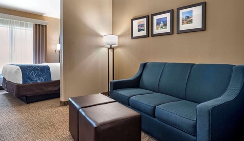 Suite, 1 King Bed with Sofa bed, Non Smoking (Accessible)