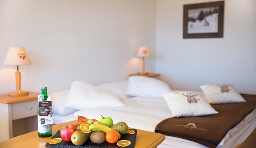Classic Double Room, Balcony, Mountain View (South)