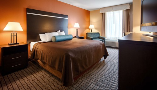 Standard Room, 1 King Bed, Non Smoking, Refrigerator & Microwave (Walk-in Shower)