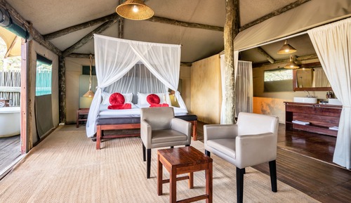 Family Tent