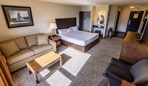 Room, 1 King Bed, Mountain View