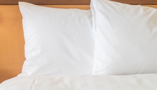 Standard Room (Bed type allocated at check-in)