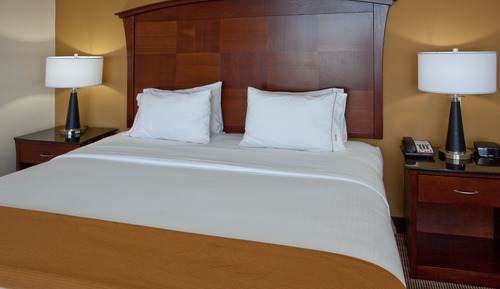 Suite, 1 King Bed