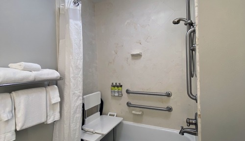 Standard Room, 1 King Bed, Accessible (Communications, Roll-In Shower)