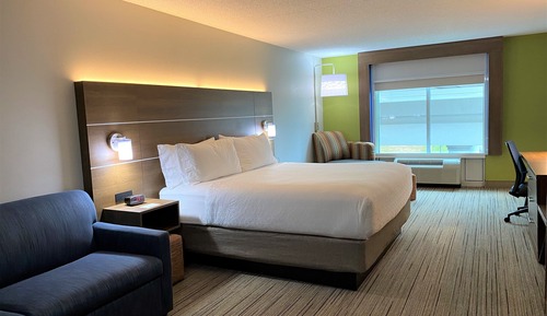 Suite, 1 King Bed with Sofa bed