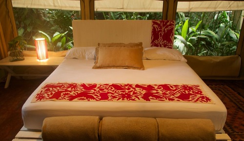 Safari Glamping King