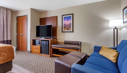 Suite, 1 King Bed with Sofa bed, Accessible, Non Smoking (Efficiency)