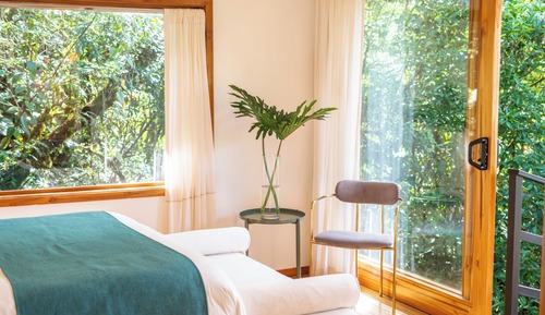 Deluxe Room The Nest