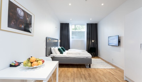 Studio, 1 Queen Bed (Basement)