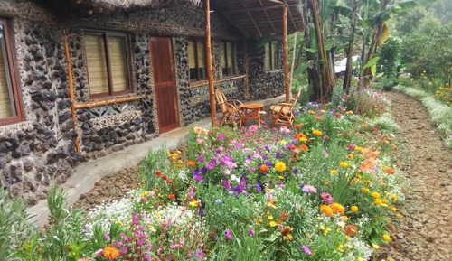 Family Room, Garden View