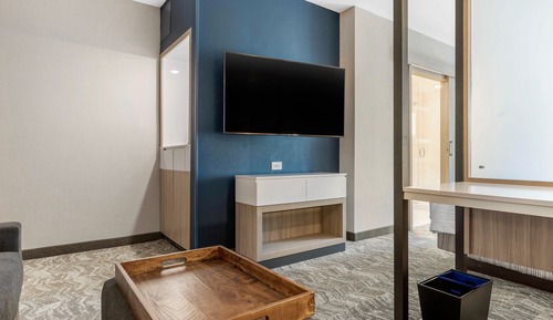 Suite, 1 King Bed (Mobility Accessible, Roll-In Shower)