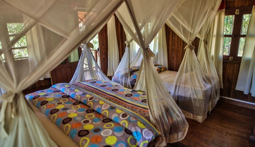 Comfort Bungalow, 2 Twin Beds, Non Smoking, Garden View