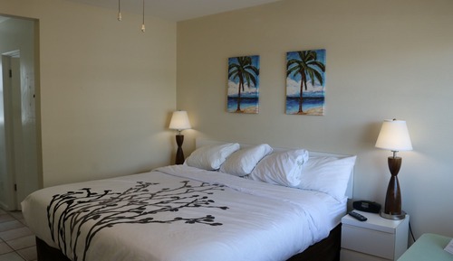 Room, 1 King Bed, Kitchen, Courtyard View (2nd Floor)