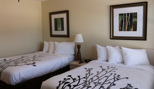 Room, 2 Double Beds, Refrigerator & Microwave, Courtyard View (1st Floor)