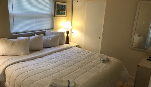 Room, 1 King Bed with Sofa bed, Kitchen, Courtyard View (2nd Floor)