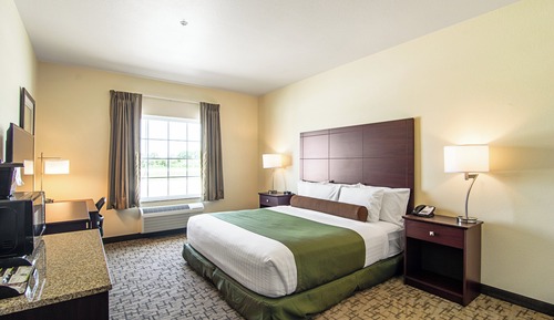 Room, 1 King Bed, Accessible