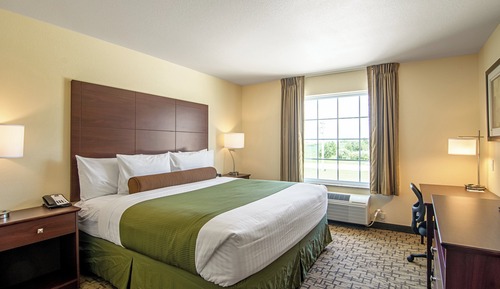 Room, 1 King Bed, Non Smoking
