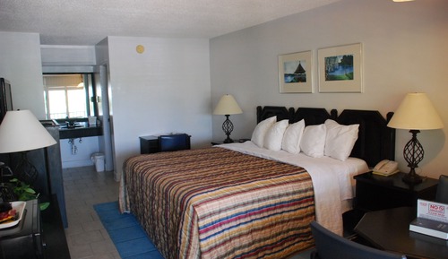Standard Room, 1 King Bed, Non Smoking