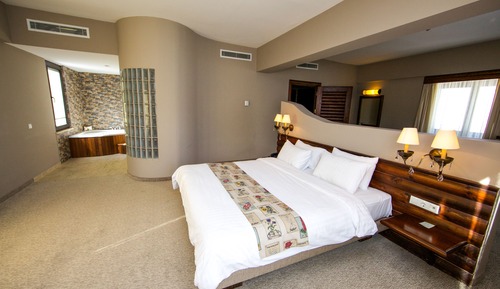 Suite, Mountain View (VIP)