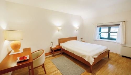 Basic Double Room