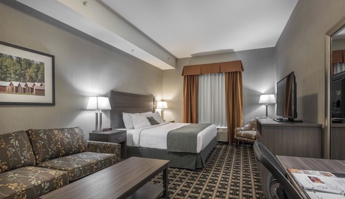 Room, 1 King Bed