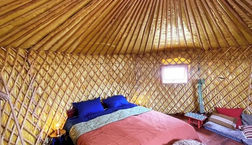 Comfort Tent, Patio, Courtyard View