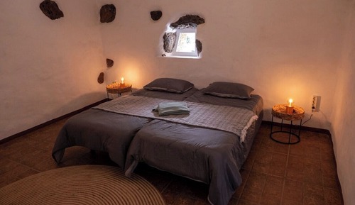 Comfort House, Garden View