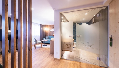 Junior Double Room, Balcony, Mountain View