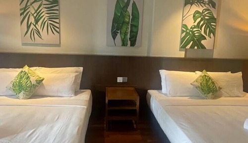 Premium Quadruple Room