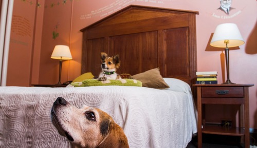 Room, 1 Queen Bed (Shared Bath)