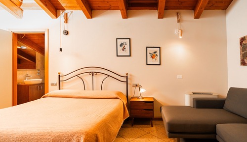 Family Studio Suite