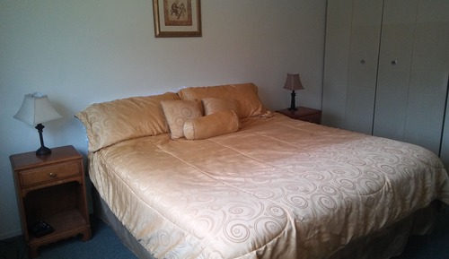 Deluxe Condo, 1 Bedroom