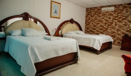 Basic Twin Room