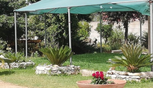 Economy Double Room, Patio