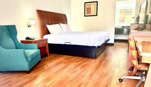 Room, 1 King Bed, Mobility Accessible, Non Smoking (Roll-in Shower)