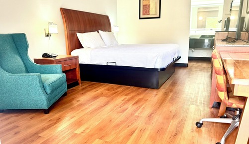 Room, 1 King Bed, Non Smoking