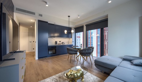 Deluxe Apartment, City View