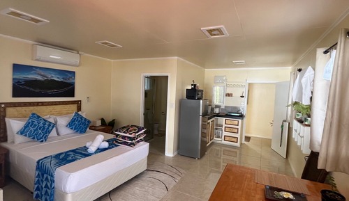 Traditional Studio, Air conditioning, Ocean View