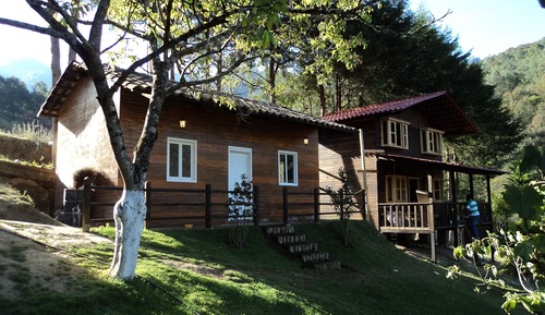 Basic Cabin