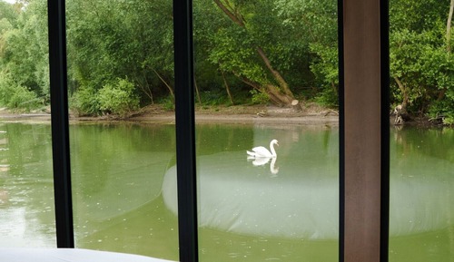 Panoramic Suite, River View