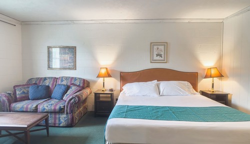 Room, 1 King Bed, Non Smoking