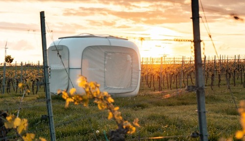 Comfort Tent, 1 Queen Bed, Vineyard View
