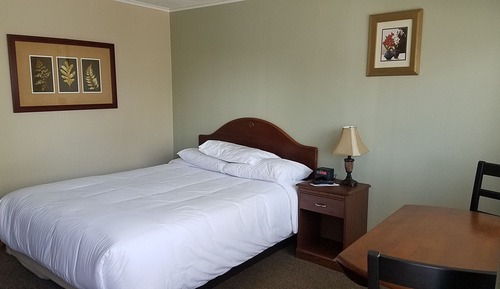 Standard Single Room, 1 Queen Bed, Lake View