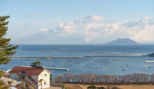 Basic Room, 1 Bedroom (203)