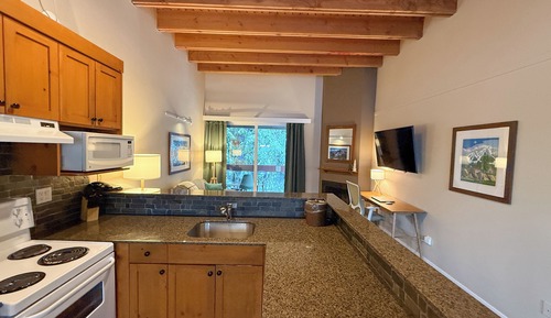 Condo, Multiple Beds, Pool Access, Mountain View (#507)