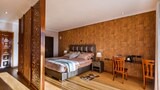 Executive Double Room, Mountain View