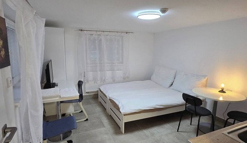 Apartment, 1 Bedroom, Smoking