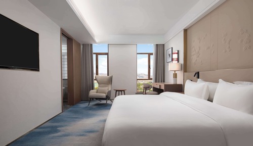 Deluxe Suite, 1 King Bed