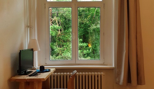 Comfort Single Room, Garden View